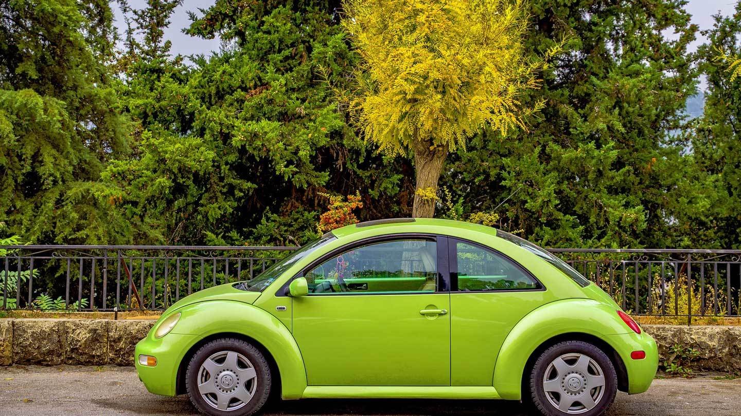 Do your homework before buying a car
